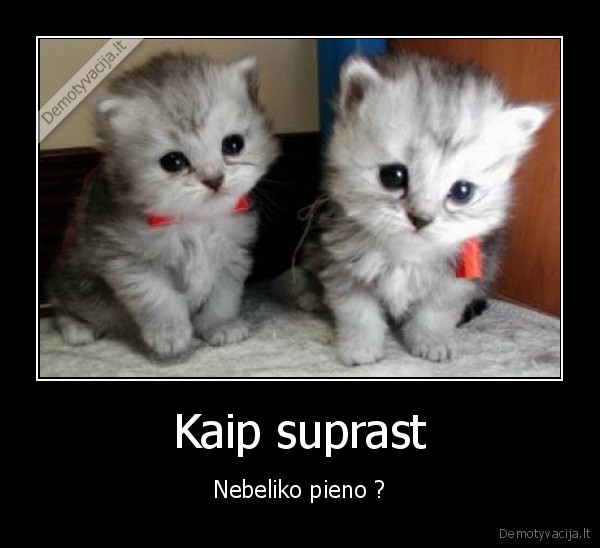 kaciukasi, pupuliukai