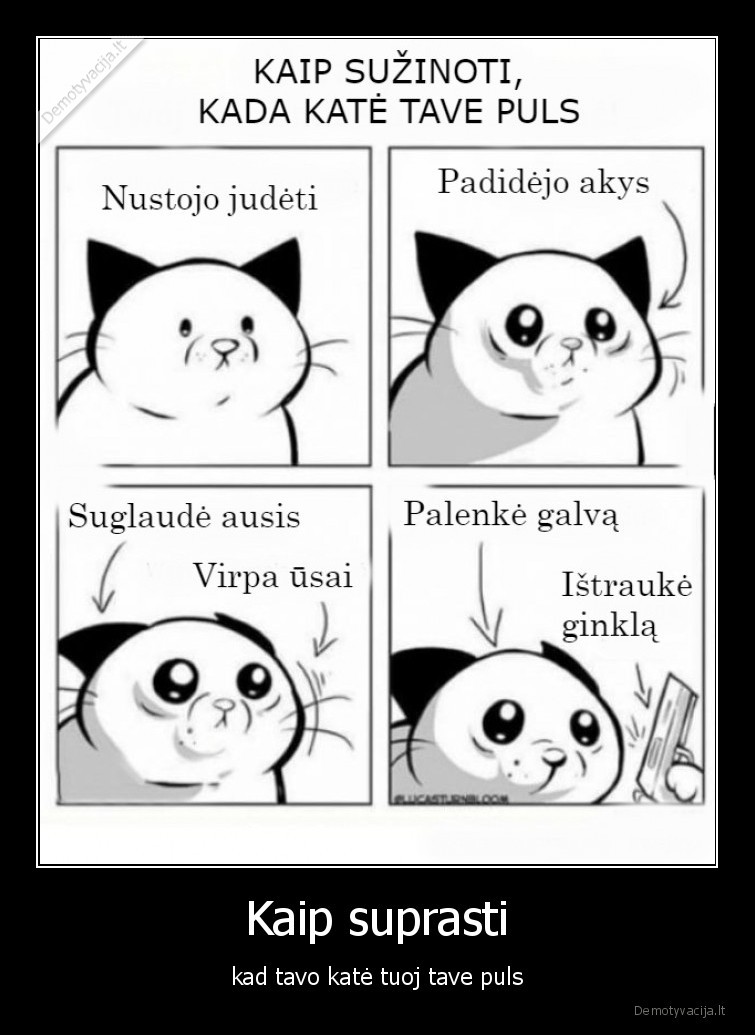 komiksas,kate,kate, puola