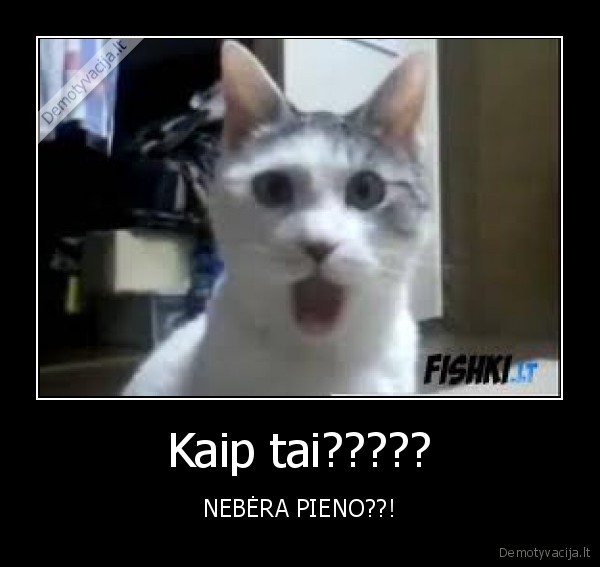 pienas,super, cow,baubas,mokslai,matiematika,lalalallalalallalalalaalallalal