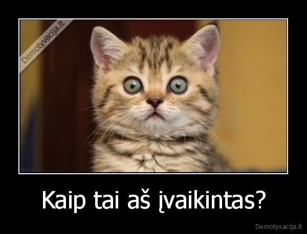 ivaikinta, kate, nustebusi