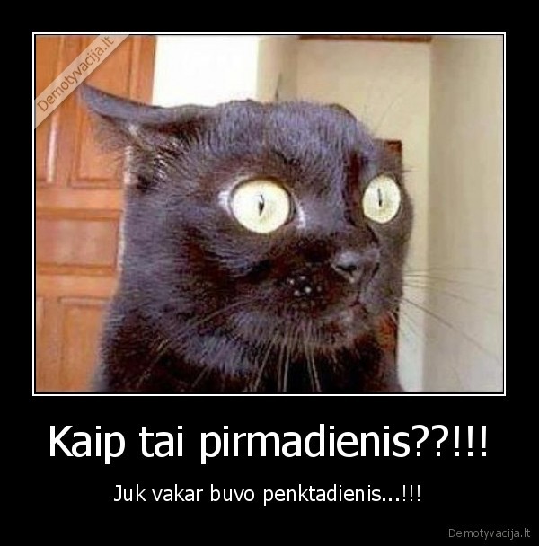 Kaip tai pirmadienis??!!!