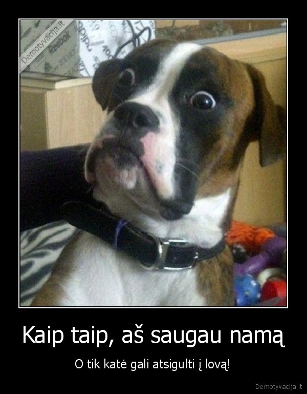 Kaip taip, aš saugau namą