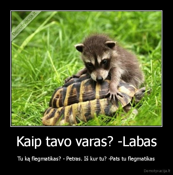 Kaip tavo varas? -Labas