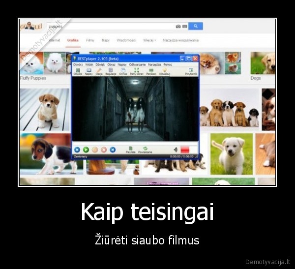 siaubo, filmas,sunyciai,suniukai