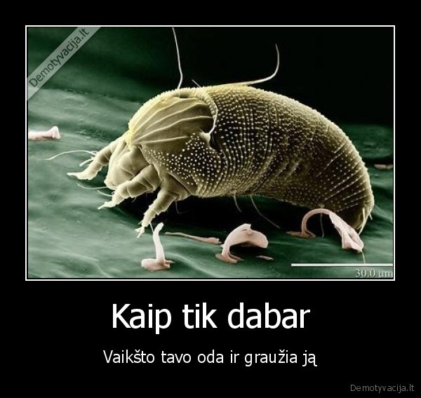 vaiksto,oda,grauzia,parazitai