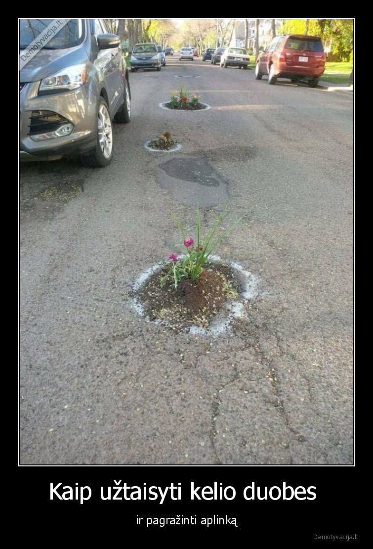 kelias,geles,maloniau,vaziuoti,aplinka,kelio, duobes
