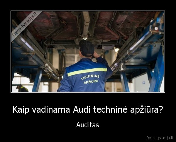 audi,regitra