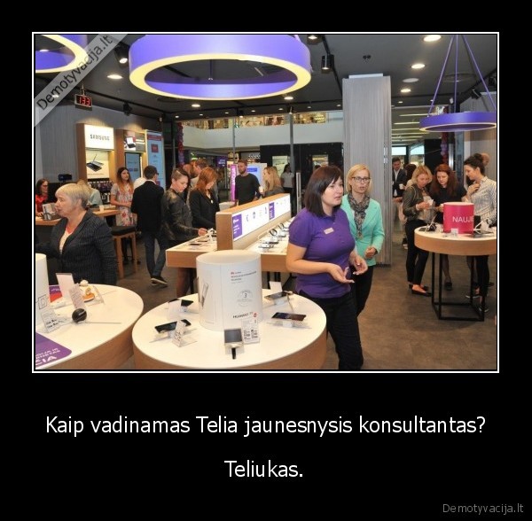 telia,konsultantas