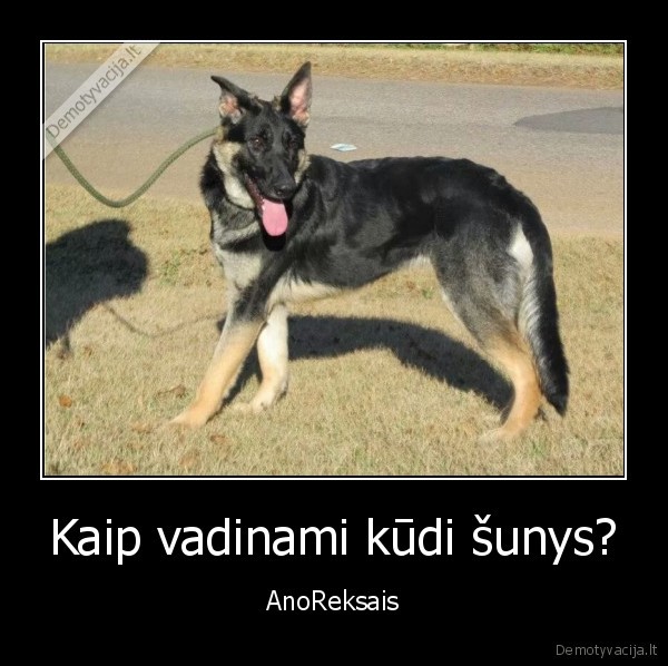 reksas,anoreksija,juodas, humoras