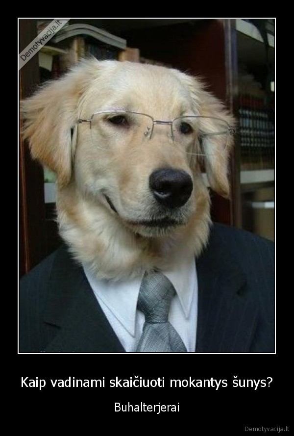Kaip vadinami skaičiuoti mokantys šunys?