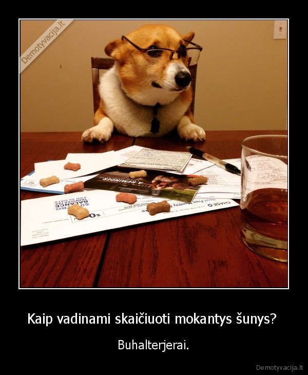 suo,medinsi,terjeras,buhalteris