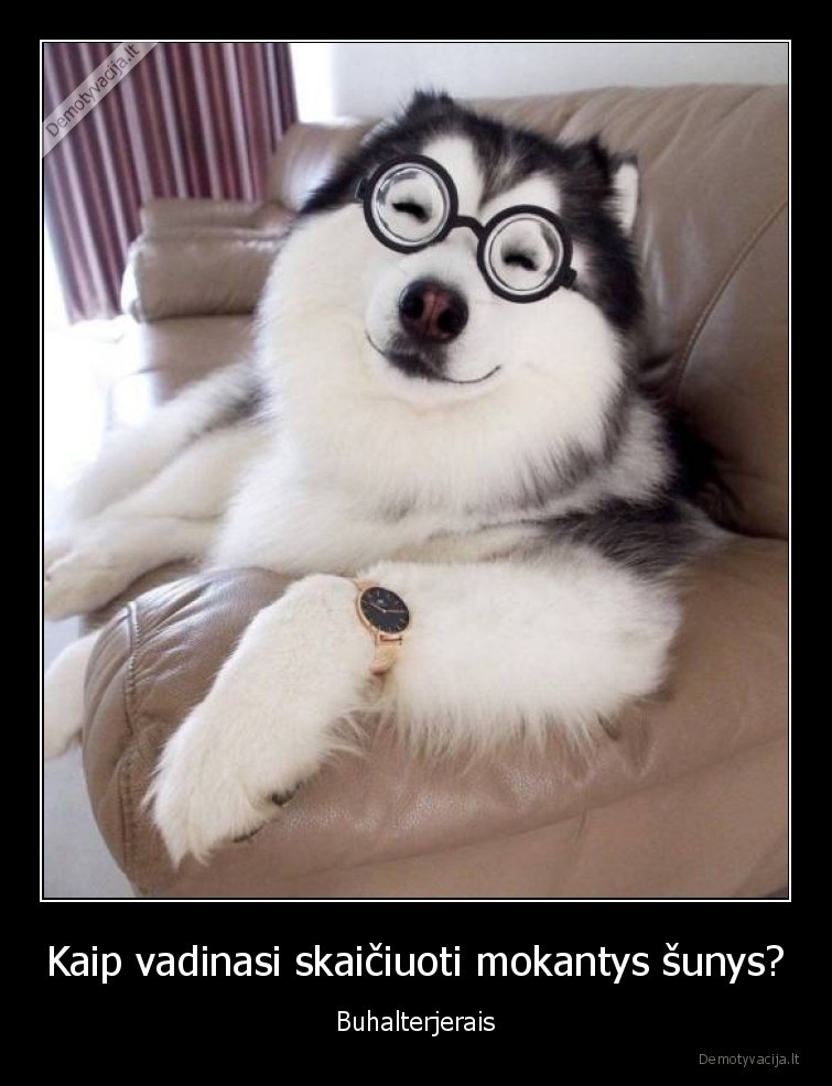 sunys,skaiciuoja,buhalterjerai