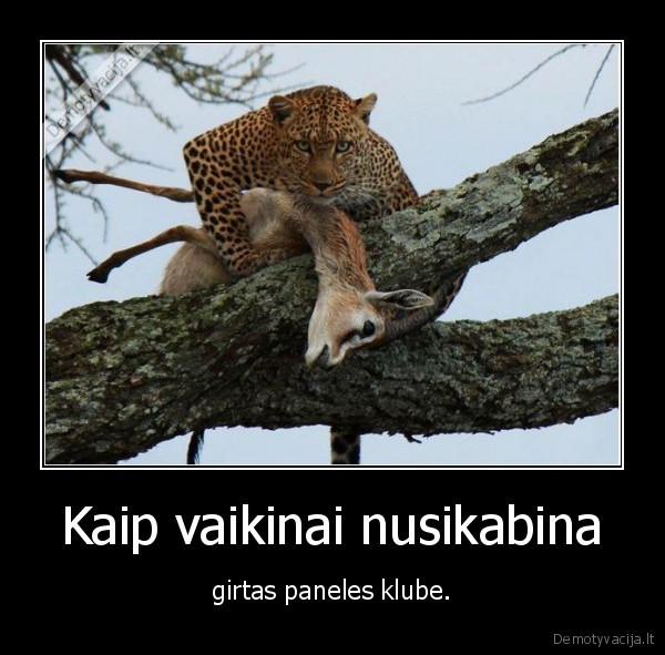 klubai,girtos,panos,laiminga,pabaiga