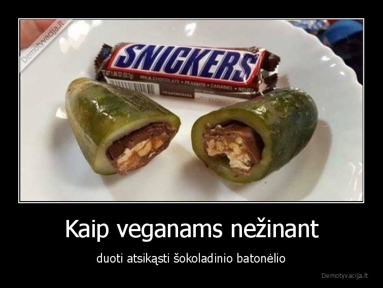 veganai,batonelis,maistas,prikolai,pokstai