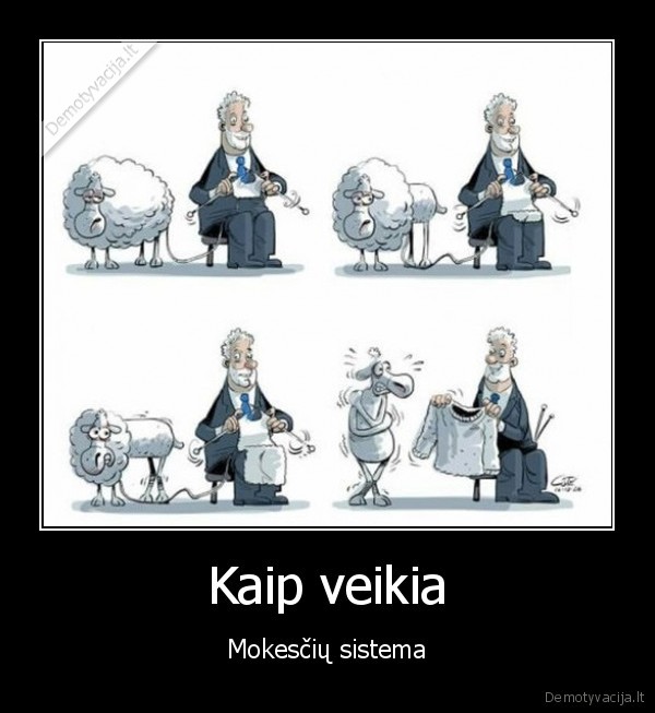 mokesciai,avis,kailis,vilna