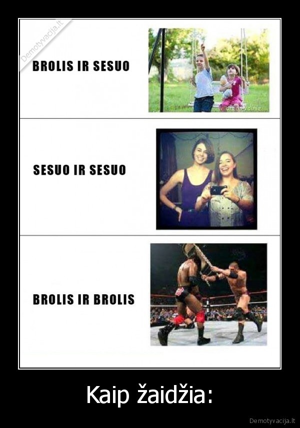 brolis,sesuo,zaisti