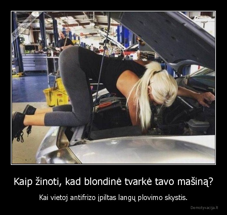 blondine,masina,antifrizas,langu, plovimas