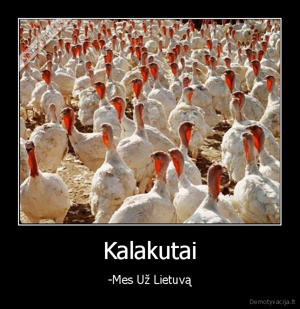 lietuva,krepsinio, tauta,nacistai,gyvunai