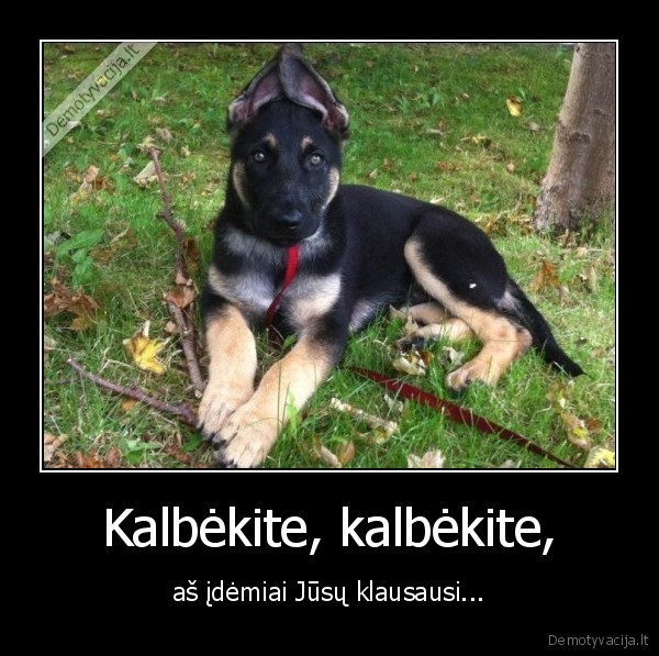 Kalbėkite, kalbėkite,