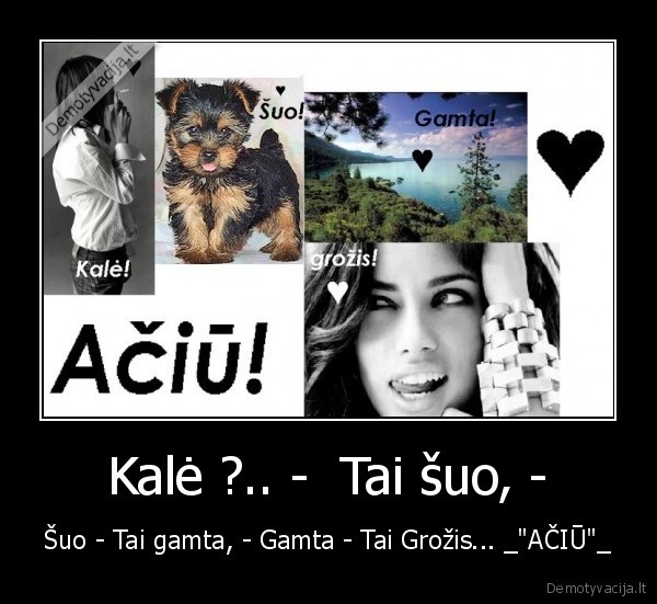 Kalė ?.. -  Tai šuo, -