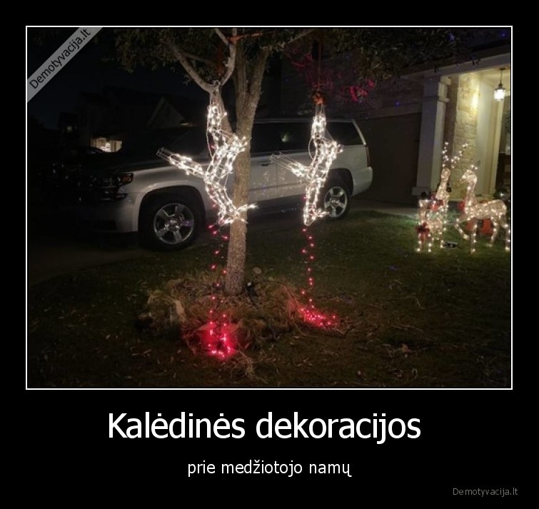 medziotojas,dekoracijos,sventes,kaledos