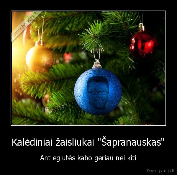 sapranauskas,zaisliukai,eglute