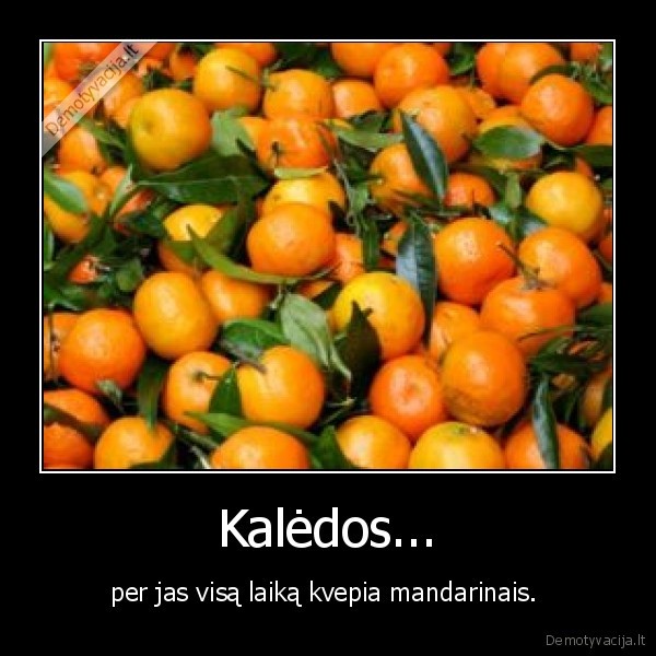 sventes,mandarinai,kaledos