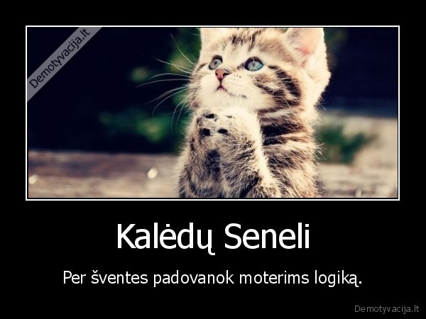 dovana,moterys,logika