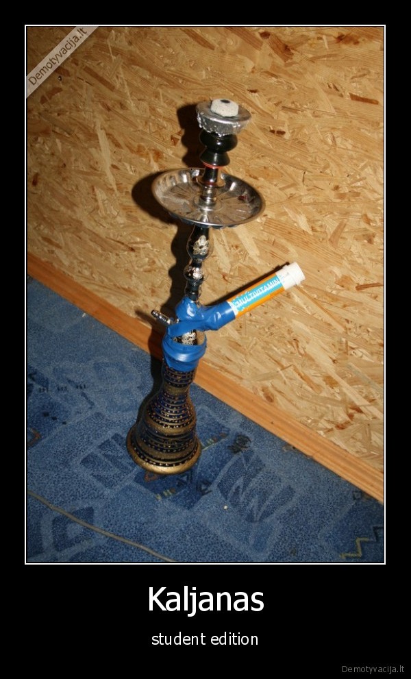 kaljanas, rukau, ir, bedu, nematau, seime, kubilius, kaljana, ruko