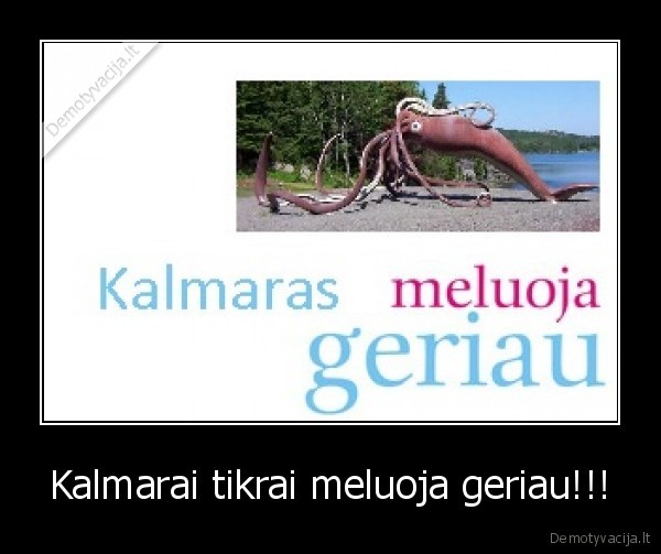 Kalmarai tikrai meluoja geriau!!!