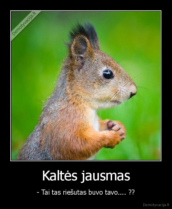 Kaltės jausmas