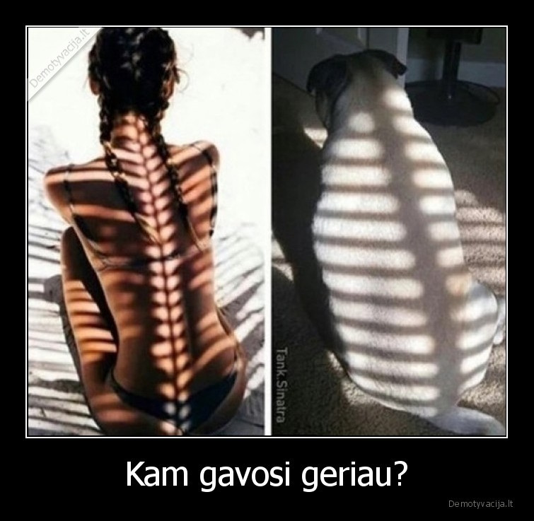 kopija,suo,mergina,nuotrauka,pozavimas