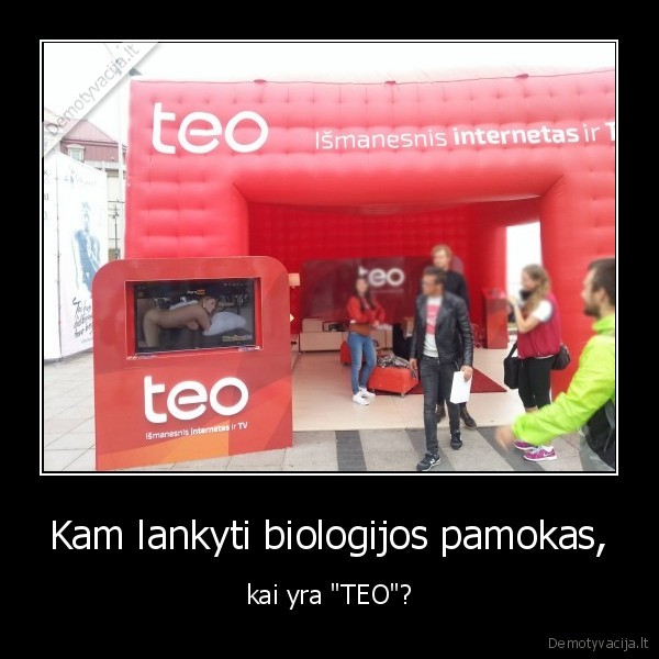 teo