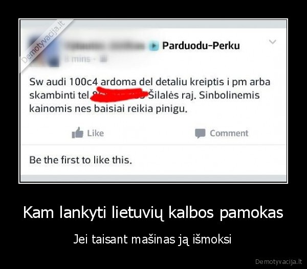 Kam lankyti lietuvių kalbos pamokas