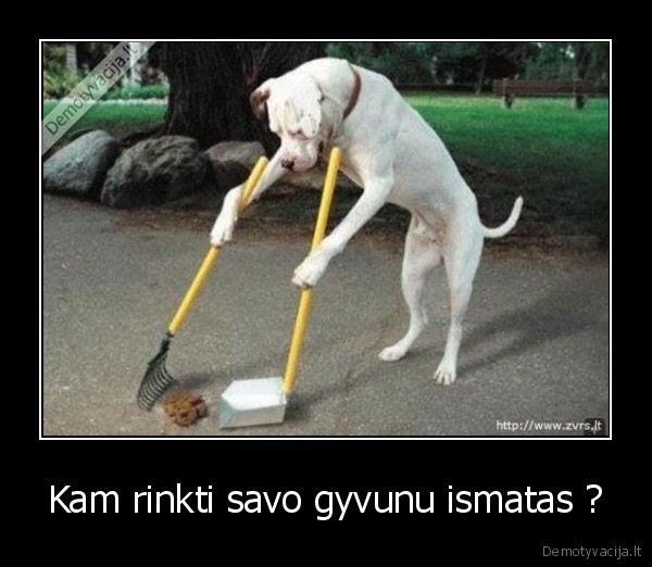 Kam rinkti savo gyvunu ismatas ?