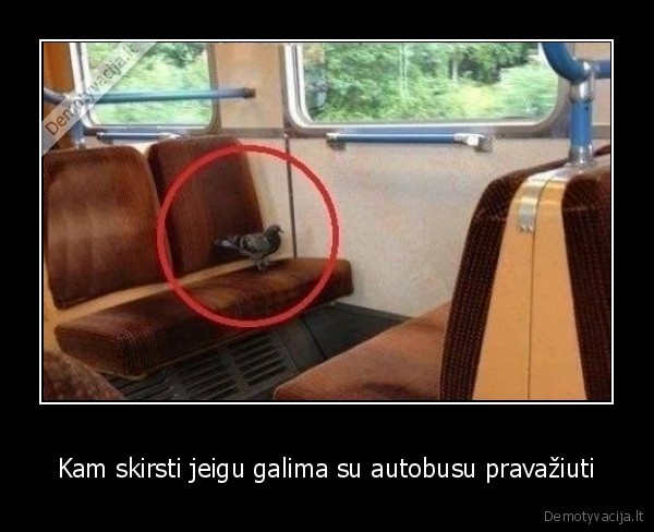 Kam skirsti jeigu galima su autobusu pravažiuti