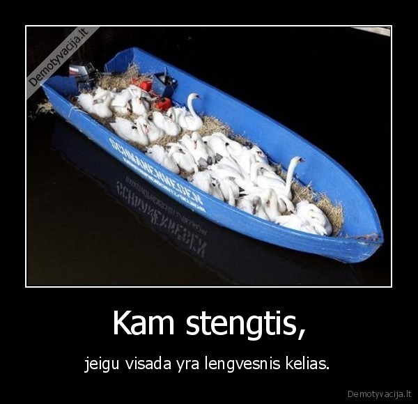 Kam stengtis,
