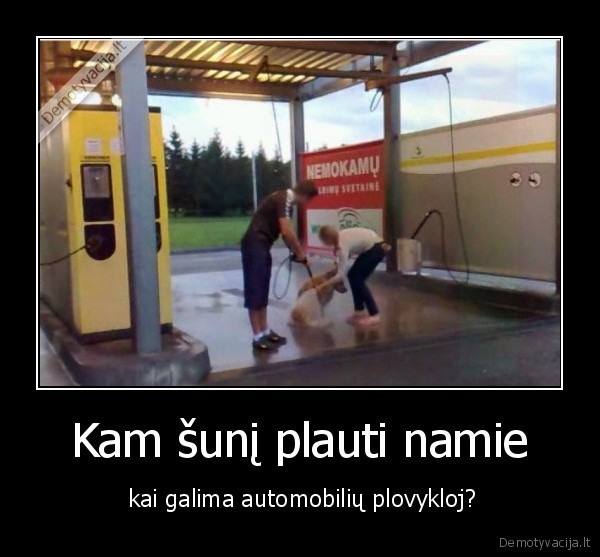 Kam šunį plauti namie
