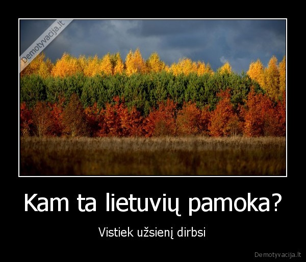 Kam ta lietuvių pamoka?