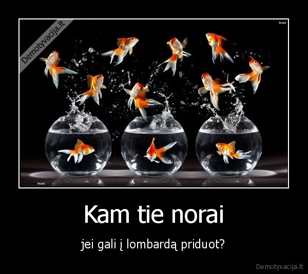 aiksine, zuvele,lombardas,krize