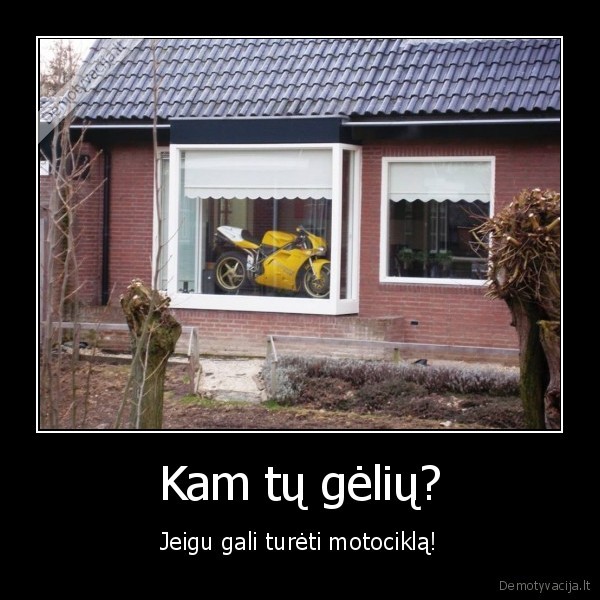 moto,motociklas,geles,namas,palange,gyvenimas