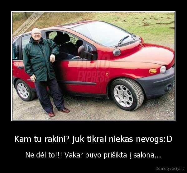 fiat, multiplasalonas