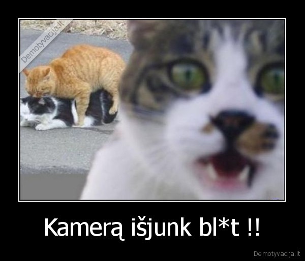 kamera, isjunk, blt, 