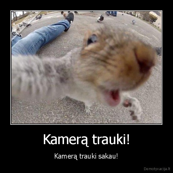 trauki,kamera,sakau