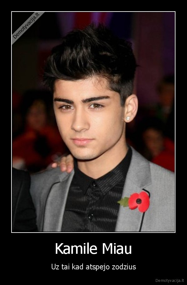 Kamile Miau