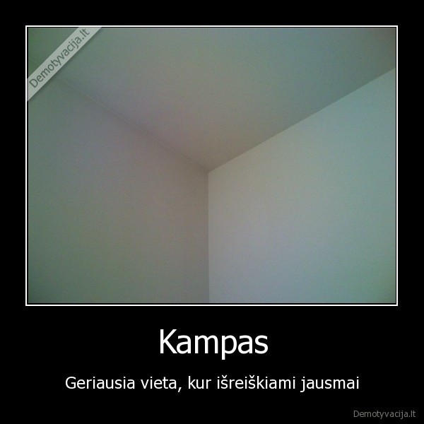 kampas, eik, paverk, i, kampa, kubikas