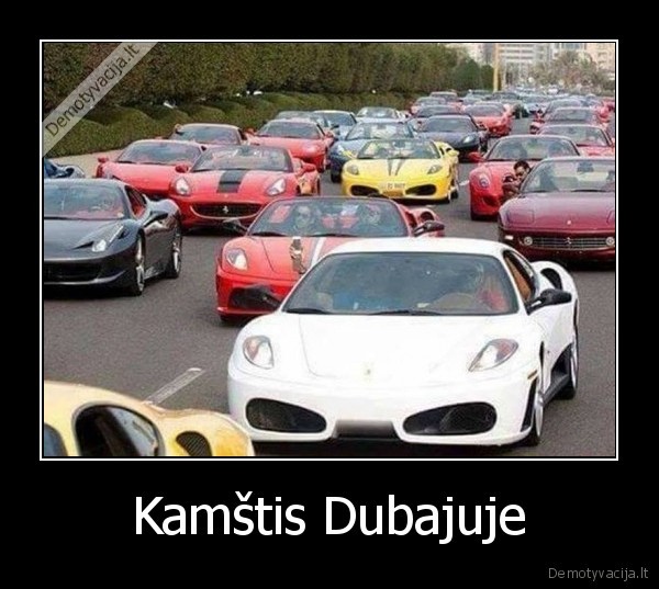 kamstis,automobiliai,brangu,dubajus,turtai