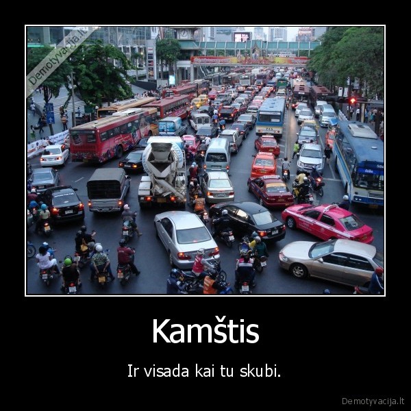 kamstis
