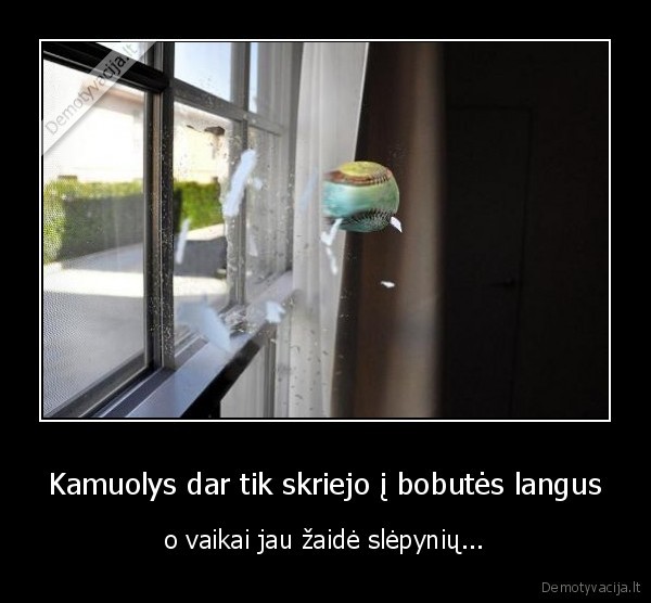 Kamuolys dar tik skriejo į bobutės langus