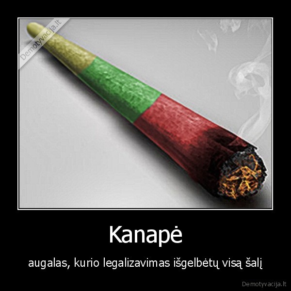 net,barakas,obama,ruko,zole